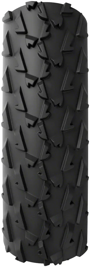 A Dugast Small Bird Tire - 700 x 33 Tubeless Folding BLK/Para Cotton 3C   Neoprene