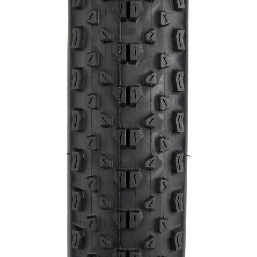 Minion DHR II Tubeless, Flat Resist Bike Tire 29 x 2.3"
