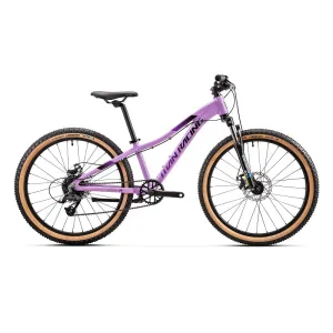 TITAN RACING Calypso 24" Disc (2025)