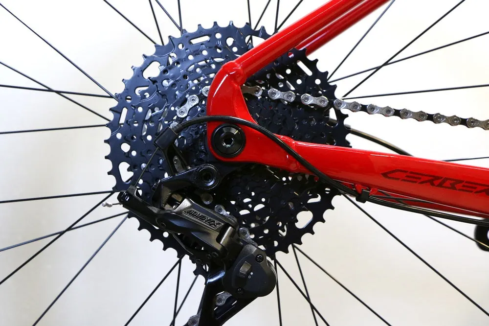 TITAN RACING Cerberus Sport (2025)