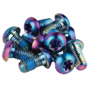 Titanium T25 Rotor Bolt Kit - Rainbow Set of 12
